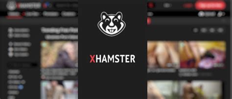 hamster live web|Guide for Models/Studios – xHamsterLive